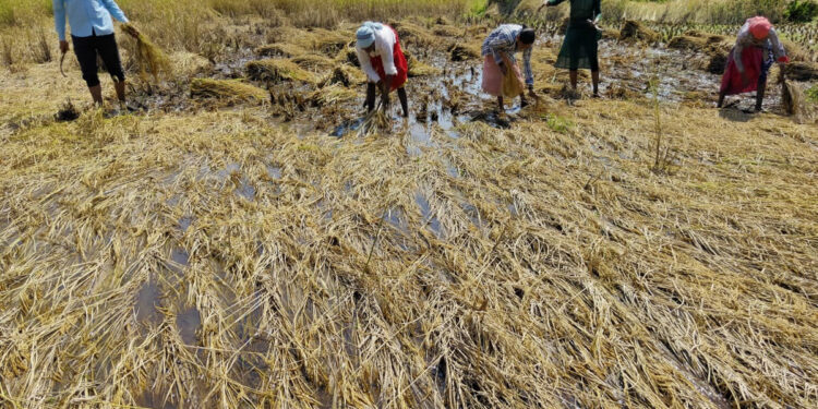 आचारसंहितेत रखडली भरपाई