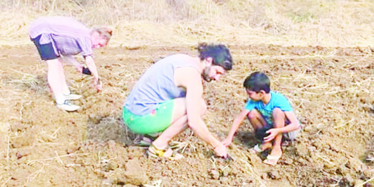 स्वीडनचे दाम्पत्य रमले शेतीमध्ये