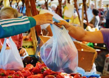 प्लास्टिक पिशव्या विक्रेत्यांवर कारवाई