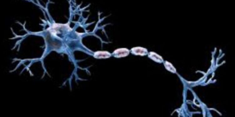 दूषित पाणी आणि शिळ्या अन्नामुळे ‘जीबीएस’ धोका