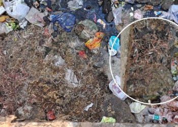 मृत कोंबड्यांच्या दुर्गंधीने कर्जतकर त्रस्त; नेरळ प्रशासनाचे दुर्लक्ष