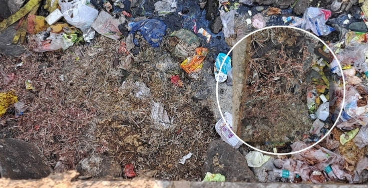 मृत कोंबड्यांच्या दुर्गंधीने कर्जतकर त्रस्त; नेरळ प्रशासनाचे दुर्लक्ष