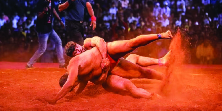 राज्यस्तरीय कुस्ती स्पर्धेचे आयोजन