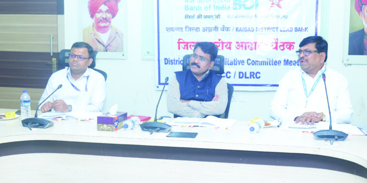 प्राप्त कर्ज प्रकरणे वेळेत मार्गी लावा- जिल्हाधिकारी किशन जावळे