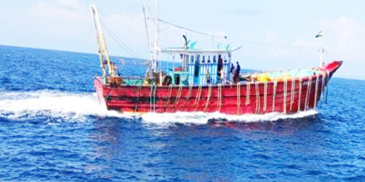 रत्नागिरीत मलपी नौकांचा हैदोस