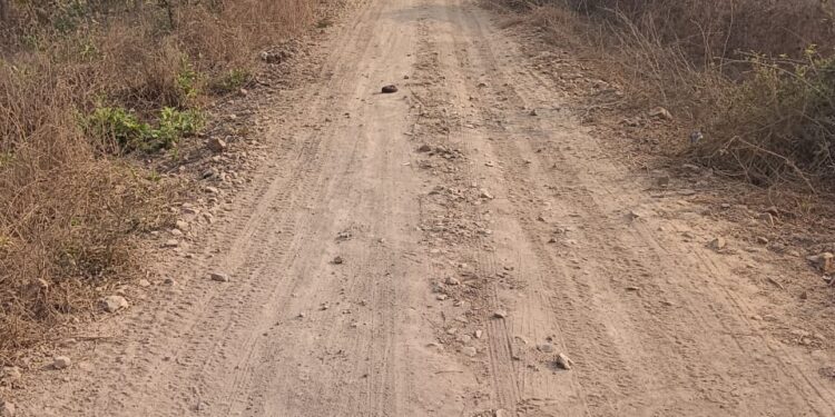 पावसाळावाडी रस्त्याची दुरावस्था