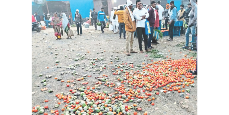 संतप्त शेतकर्‍यांनी भाजीपाला फेकला