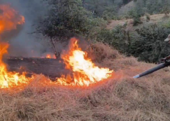 वणवे रोखण्यासाठी सगुणा वनसंवर्धन तंत्रज्ञानाचा पुढाकार