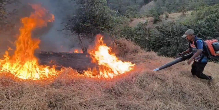 वणवे रोखण्यासाठी सगुणा वनसंवर्धन तंत्रज्ञानाचा पुढाकार