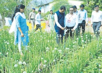 रायगडचे जिल्हाधिकारी शेतकर्‍यांच्या बांधावर