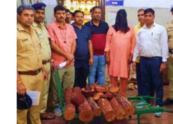 मुंबईत लाल चंदनाची तस्करी