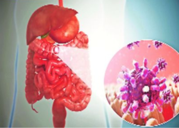 सावधान! रायगडात पसरतोय लेप्टोचा धोका