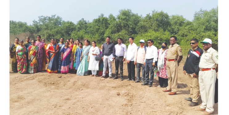 कोलमांडल्यात कांदळवनावर भराव