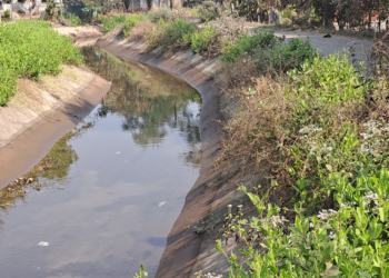राजनाला कालव्यात आले पाणी