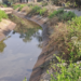 राजनाला कालव्यात आले पाणी