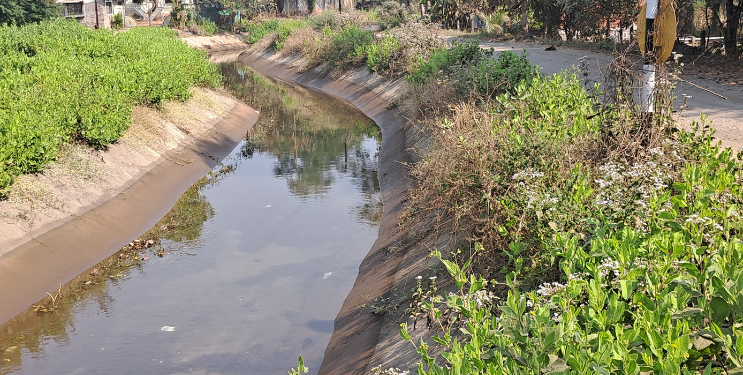 राजनाला कालव्यात आले पाणी