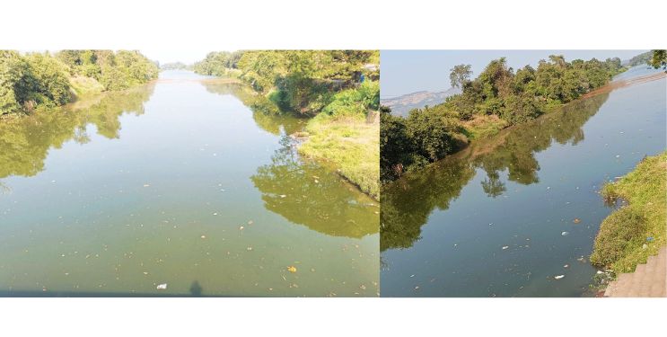 अंबा नदी प्रदूषित! नागरिकांसह प्राण्यांचे आरोग्य धोक्यात