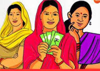 लाडकी बहीण योजनेमुळे विकासकामे ठप्प