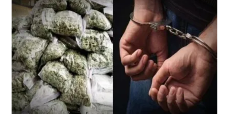 गांजाची तस्करी करणार्‍याला अटक