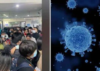 मानवी मेटान्यूमोचा भारतात शिरकाव