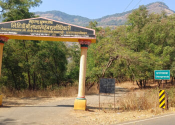 आदिवासी बांधवांचा प्रवास खडतर