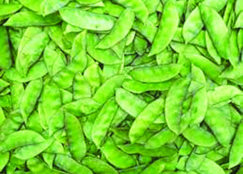 चिरनेरच्या वालांना हवे भौगोलिक मानांकन