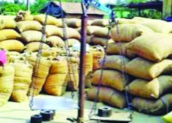 धान्य खरेदीत बोगस कागदपत्रे सादर