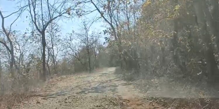 बेलवाडी रस्त्याची दयनीय अवस्था