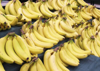 केळी पिकवण्यासाठी गॅसचा वापर