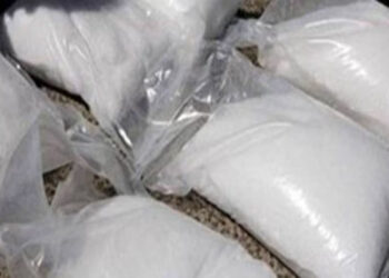 अमली पदार्थांची तस्करी करणार्‍या दोघांना अटक