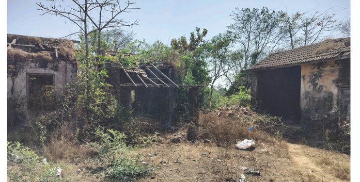 तळ्याचा पशु दवाखाना दुर्लक्षित