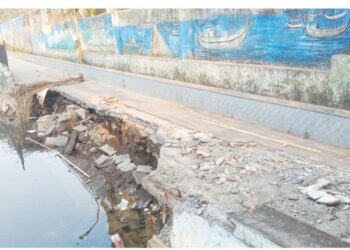 विमला तलावाच्या दुरुस्तीकडे दुर्लक्ष