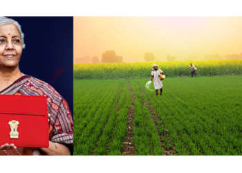 शेतकऱ्यांना दिलासा! अर्थसंकल्पात ‘या’ केल्या घोषणा
