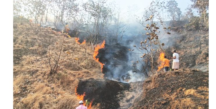 वावोशीच्या डोंगरात वणवा