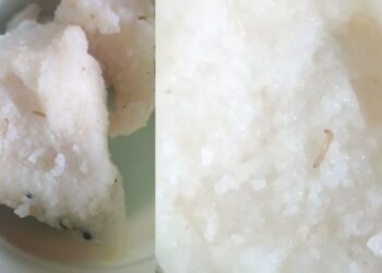 अंगणवाडीत पोषण आहारात अळ्या