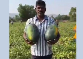 बाहे गावातील कलिंगडे सातासमुद्रापार