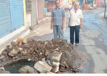 पाली नगरपंचायतीचा भोंगळ कारभार