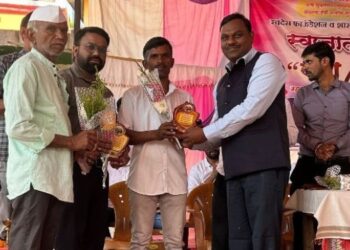 पेणतर्फे तळे गाव ‘स्वप्नातील गाव’