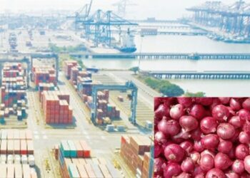 जेएनपीए बंदरातील कांद्याची निर्यात घसरली