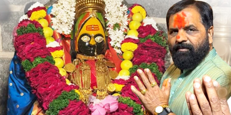 देवाभाऊ मलाच पावू दे गं! पालकमंत्रीपदासाठी गोगावलेंचे भवानीला साकडे