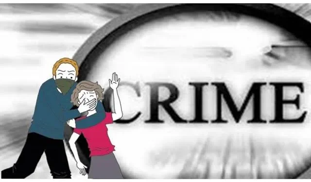 अल्पवयीन मुलीस फुस लावून केले अपनयन