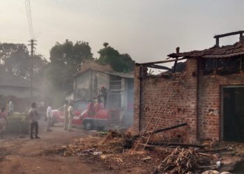 वणव्यात गोठा जळून खाक