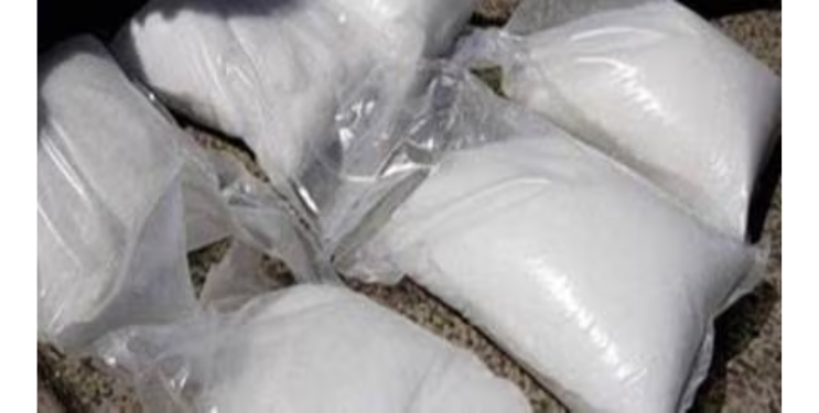 अमली पदार्थाची विक्री करणाऱ्याला अटक