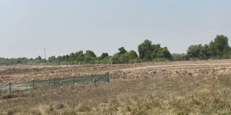 मिठागराच्या जागेवर मत्स्यशेती; शासनाची फसवणूक केल्याचा आरोप