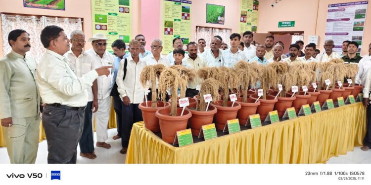 शेतकर्‍यांनी जनतेचे कौटुंबिक शेतकरी व्हावे- विनायक काशिद