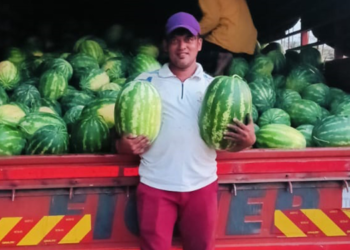 देवकर यांचे कलिंगड दुबईला रवाना