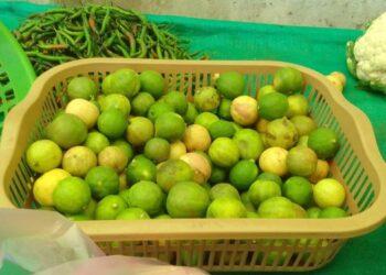 ऐन उन्हाळ्यात लिंबूचे भाव वधारले