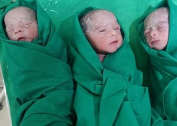 माणगावात महिलेने दिला तिघांना जन्म