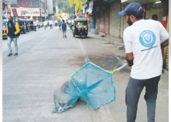 शेकडो कुत्र्यांचे निर्बीजीकरण यशस्वी
