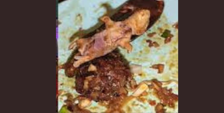 नवी मुंबईच्या नामांकित हॉटेलमध्ये मेलेला उंदीर